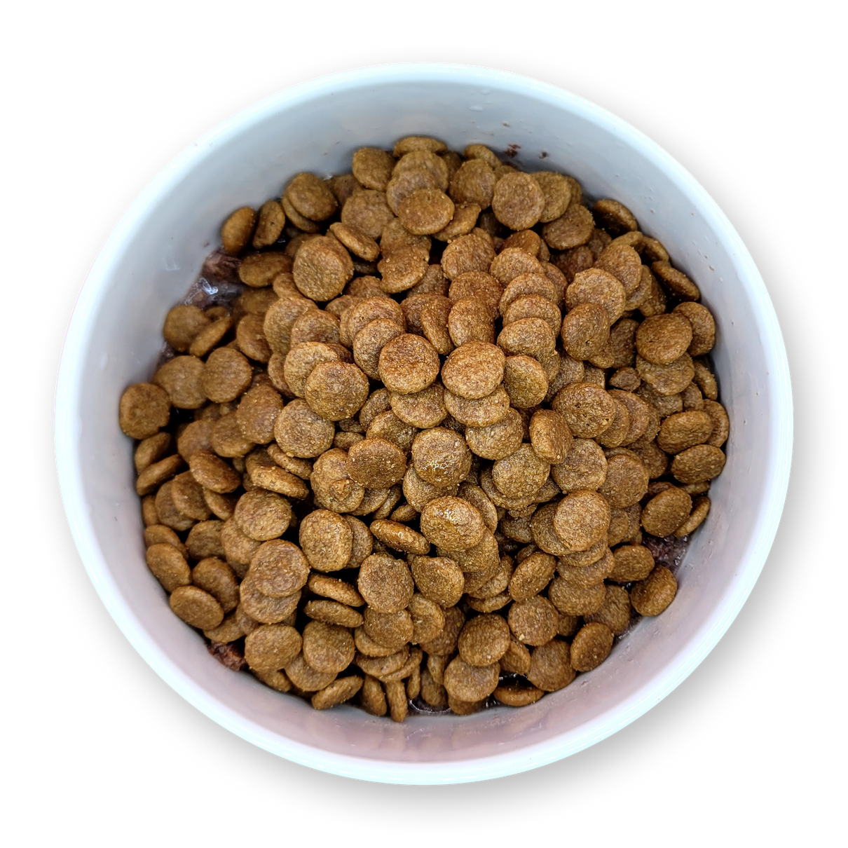 Organ Boost+ Elk 12PC