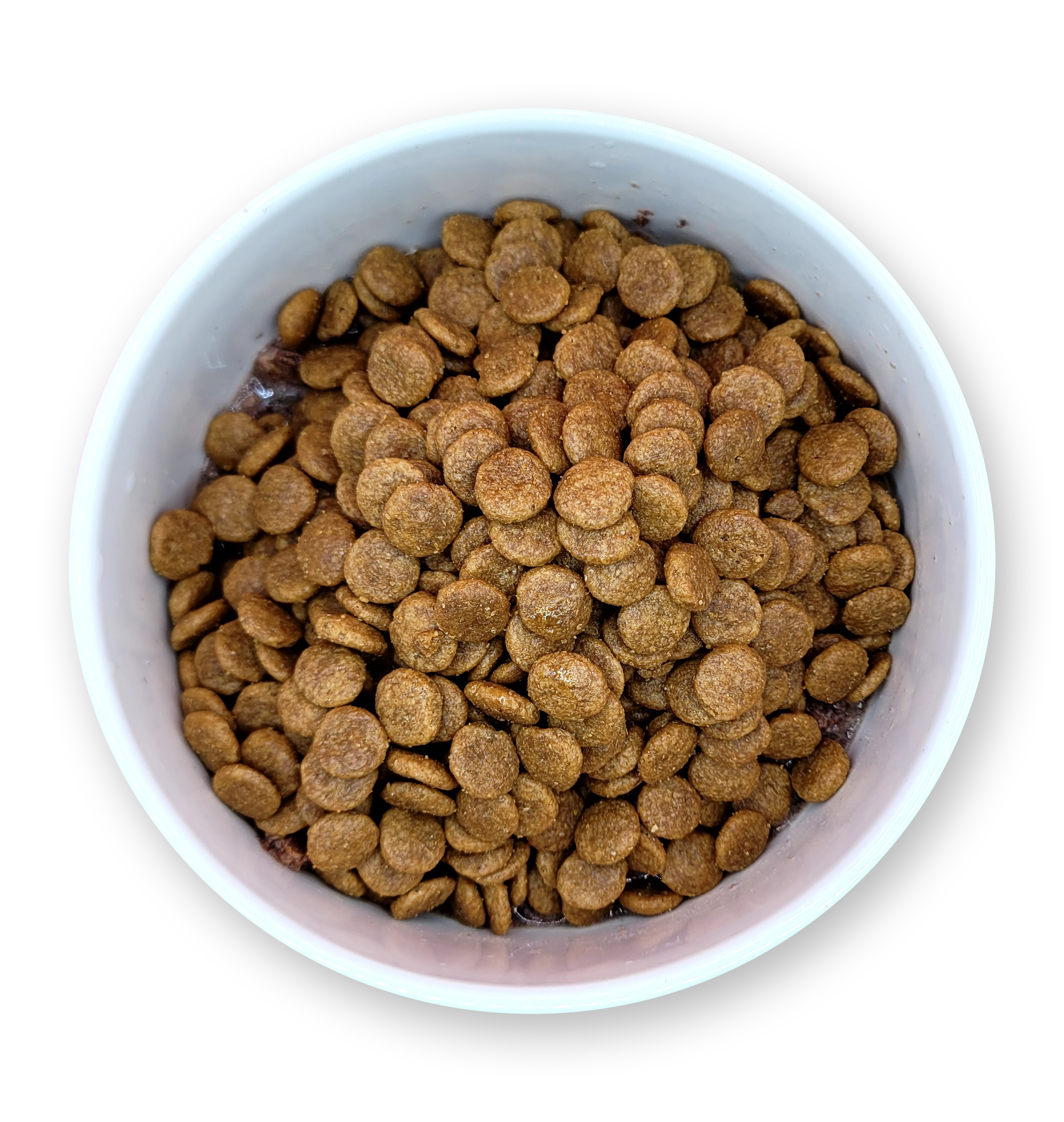 Organ Boost+ Elk 12PC