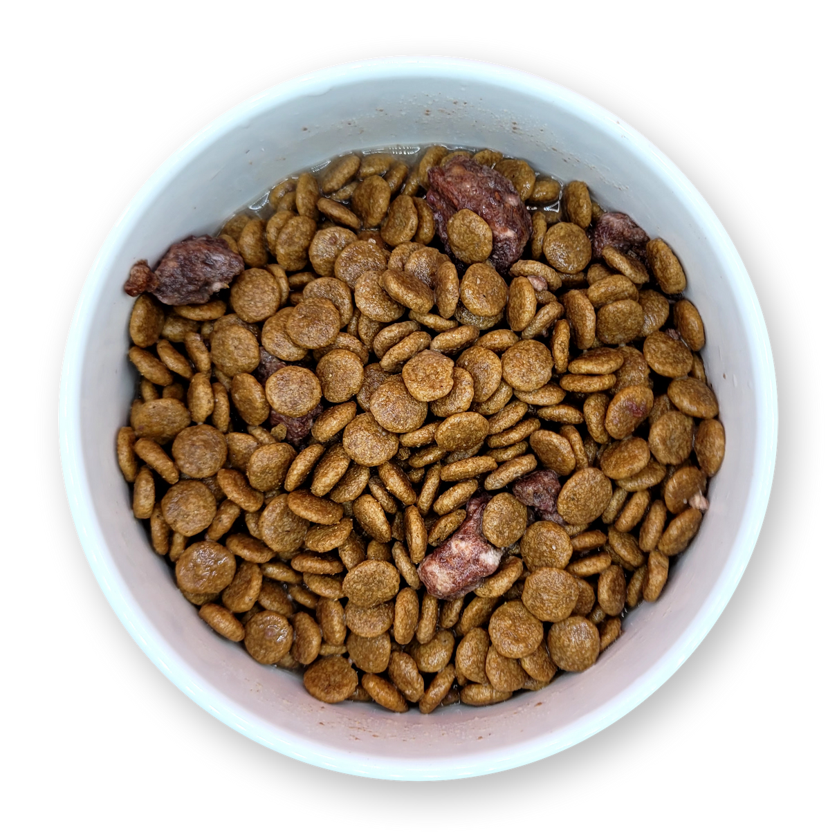 Organ Boost+ Elk 12PC