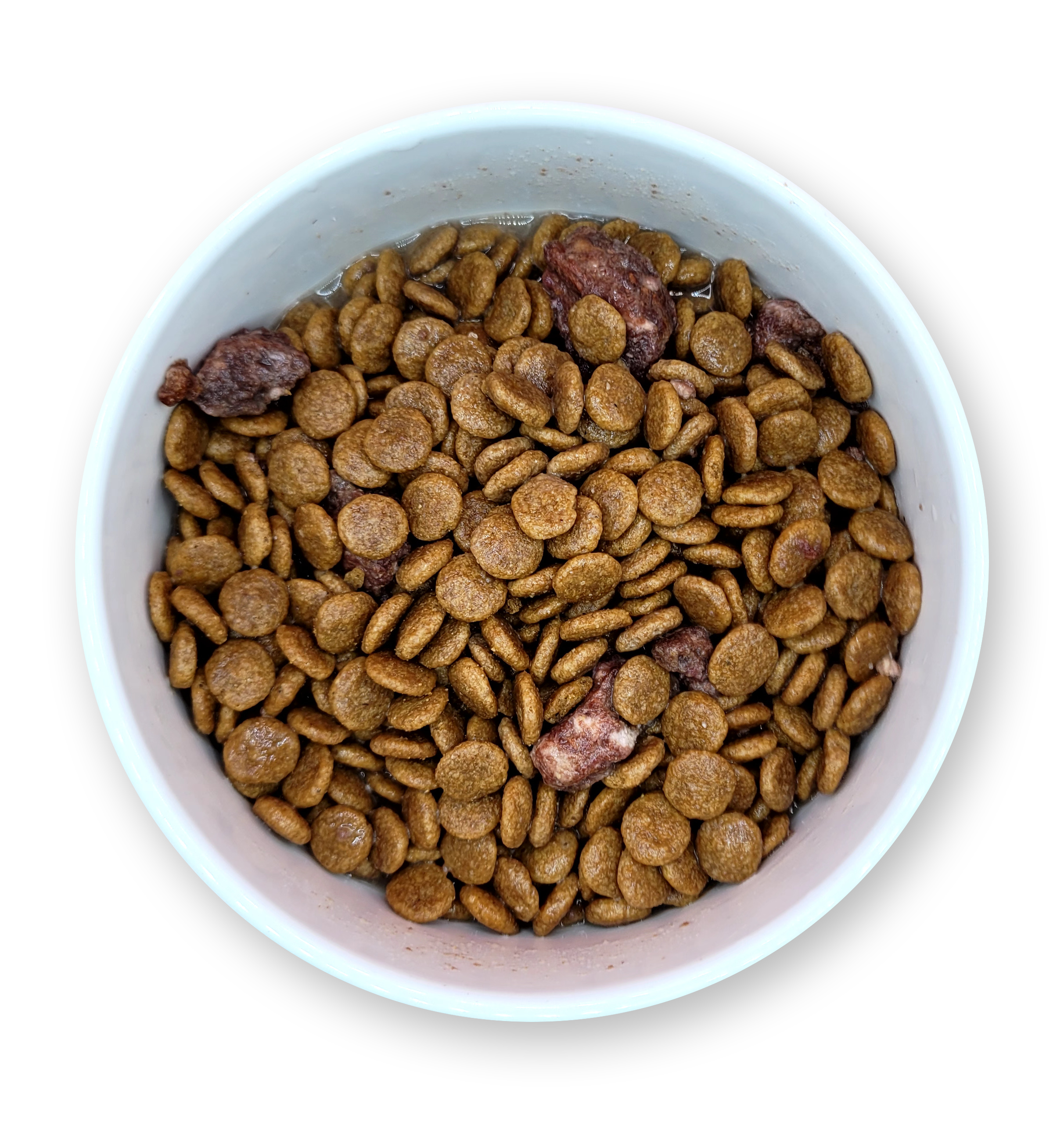 Organ Boost+ Elk 12PC